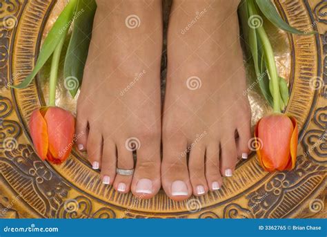 Tulips stock image. Image of ring, leaf, dish, aromatherapy - 3362765