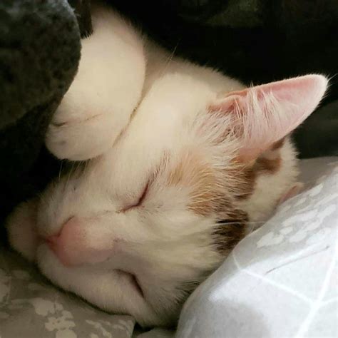 Senora vs senorita if you don’t know their age or marital status. : r ...