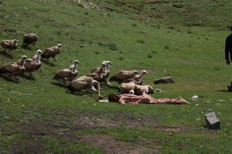 CONFESSIONS OF A FUNERAL DIRECTOR » Tibetan Sky Burial: 36 Photos