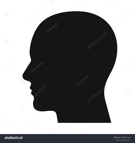 24+ Thousand Human Head Side Profile Royalty-Free Images, Stock Photos ...