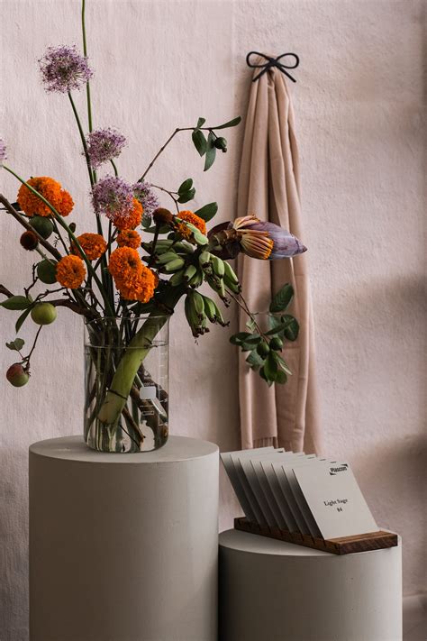 Anatomy Design collaborates with Plascon to introduce directional ...