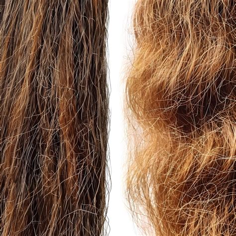 Low and high porosity hair strands before and after treatment ...