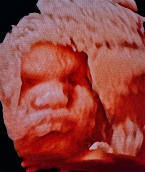 Little Ms. Golden | Golden girls 💜👑 10/14 | Instagram