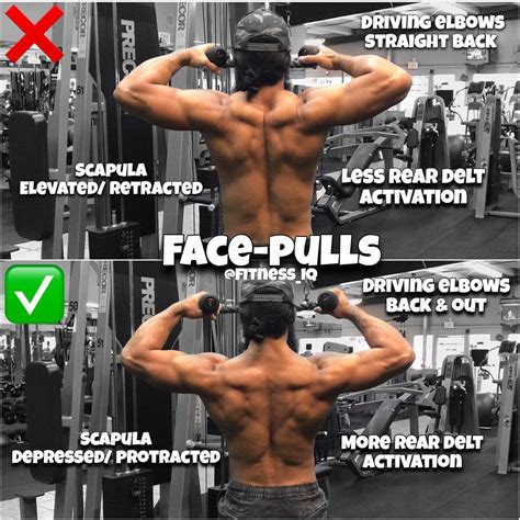How to FACE-PULLS | Exercise Videos & Guides - weighteasyloss.com