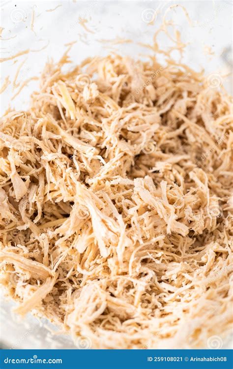 Shredded chicken stock image. Image of poultry, shredded - 259108021