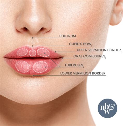 Lip Fillers Westport CT | Plump Your Lips