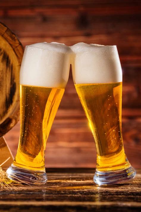 Lager vs Pilsner - A Spectacled Owl