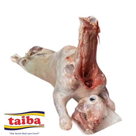 Shop for Fresh Whole Baby Lamb Najdi Breed Local Online in Dubai and ...