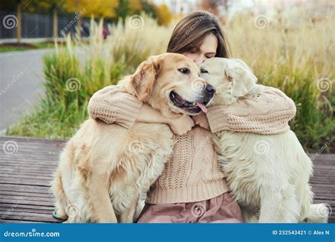 Beautiful Girl Hugs Two Golden Retrievers. Outdoor Stock Image - Image ...