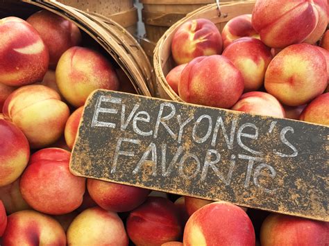 Top 10 Farmers’ Markets Near Beverly Hills - Beverly Hills Courier