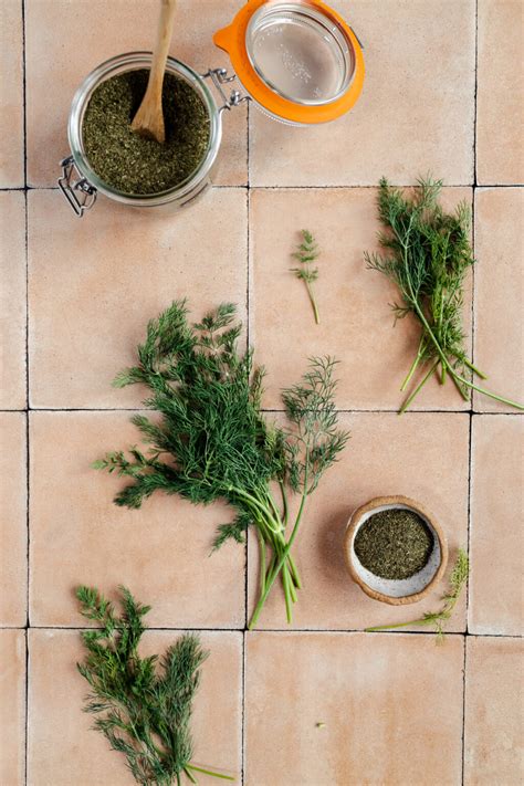 35 Best Substitutes For Dill (Fresh And Dried Ideas) - Raepublic