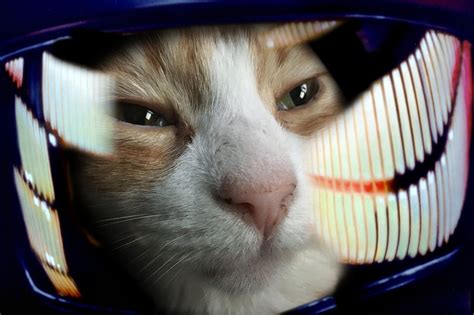 The Infinite Revolution: "My god, it's full of stars..."