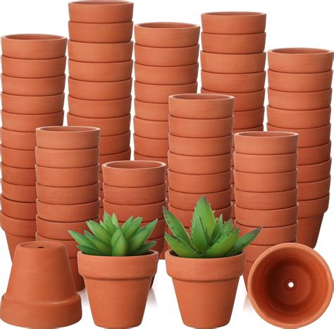 Amazon.com: Sliner 150 Pcs Small Clay Pots 2 Inch Terracotta Plant Pots ...