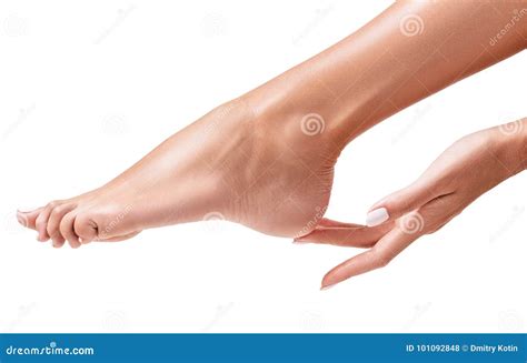 Perfect Female Feet. Hand Touches Elegant Leg. Stock Photo - Image of barefoot, hand: 101092848