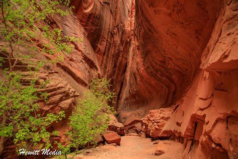 Guide for the Long Canyon Slot Hike in the Grand Staircase