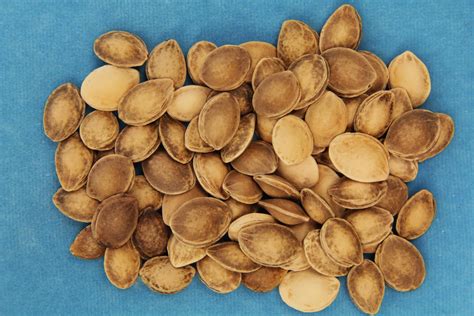 How To Grow Date Seeds | Storables