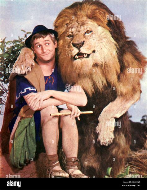 ANDROCLES AND THE LION Stock Photo - Alamy