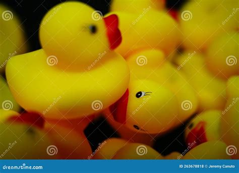 Rubber Ducks in a Pile - a Lot of Rubber Ducks Stock Photo - Image of ...