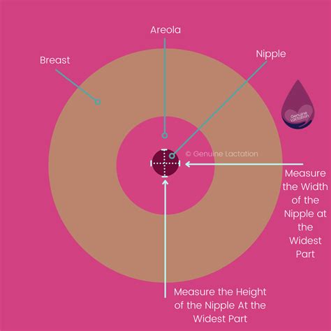 Flange Sizing — Genuine Lactation
