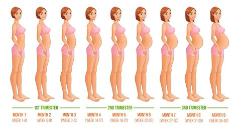 Pregnancy Week by Week: Symptoms and Tips to Help and Guide You - Annie ...
