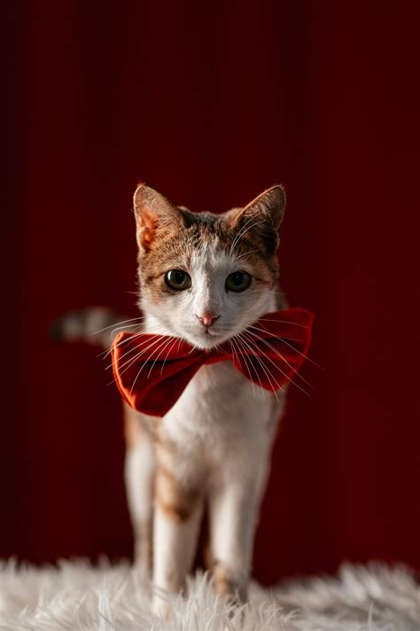 Close+Up+Big+Labia Photos, Download The BEST Free Close+Up+Big+Labia ...