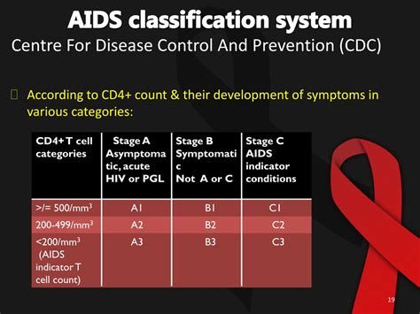 PPT - HIV PowerPoint Presentation, free download - ID:545225