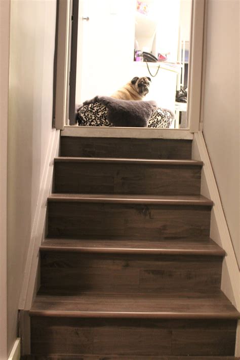 Floor Decor Jacksonville Fl Hours - wallpops floor tiles