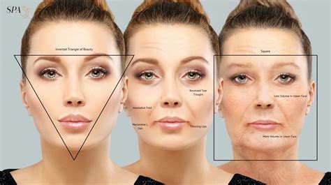 Face Aging In 40S at Samantha Sternberg blog