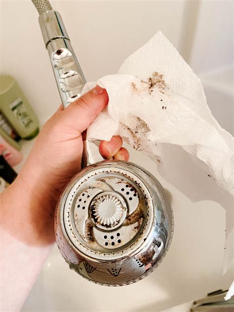 The Easiest Way To Clean A Showerhead Without Removing It - Small Stuff ...