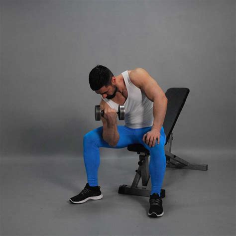 Dumbbell One-Arm Sitting Biceps Curl – Fit Drills Website