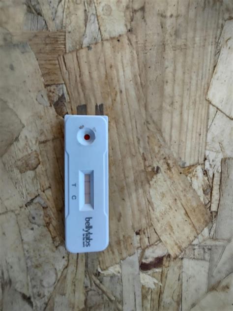 Signs And Stages of Dog Labor - Bellylabs