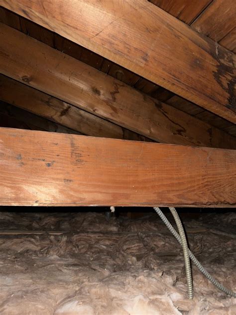 Mold in Attic : r/FirstTimeHomeBuyer