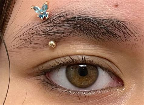EVISPOL Piercing Jewelry | Eyebrow piercing jewelry, Piercings, Eyebrow ...