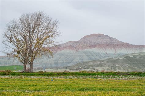 18+Girl+Sucks+Dogs+Cock Photos, Download The BEST Free 18+Girl+Sucks ...