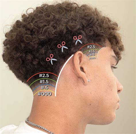 Pin by Rayssoni Mohamed on Barbar | Low fade curly hair, Taper fade ...