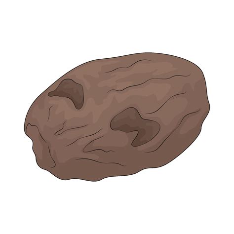 Vegetable named jerusalem artichoke 65775066 Vector Art at Vecteezy