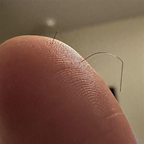 I got stabbed in the thumb by one of my hairs. : r/mildlyinteresting