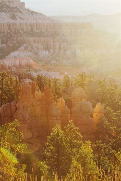 "The Sun Has Risen Over Bryce Canyon's Tree And Rock Landscape." by ...