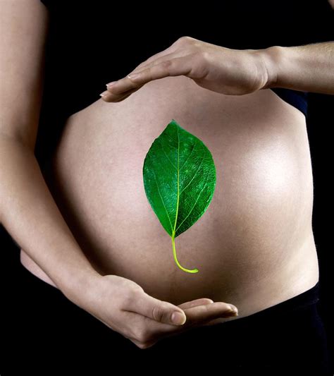Are Flax Seeds Safe To Eat When Pregnant at Sybil Downing blog