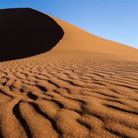 BEYOND AFRICA SAFARIS - WINDHOEK, NAMIBIA (2026) All You Need to Know BEFORE You Go (with Photos ...