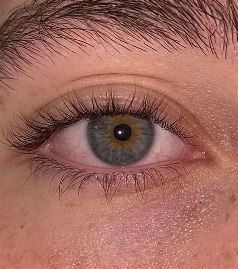 what is my eye color? Brown? Hazel? and why? : r/eyes