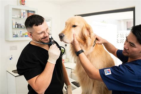 Reverse Sneezing in Dogs: Causes, Symptoms, and Treatment