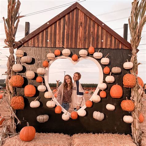 Pumpkin Patch | Pumpkin patch farm, Pumpkin patch pictures, Fall ...