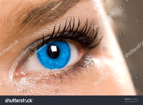 105 Fixed Dilated Pupils Images, Stock Photos & Vectors | Shutterstock