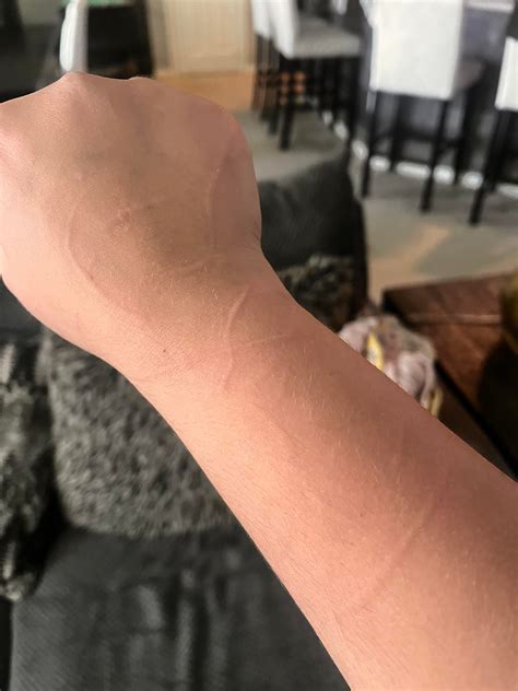 Belgian Malinois training tips needed!!! : r/Dogtraining