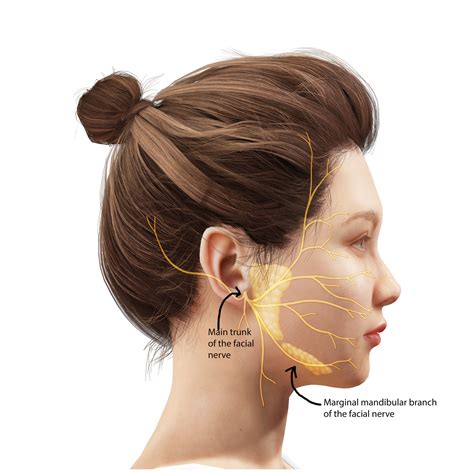 Lower lip weakness (marginal mandibular neuropathy) | doctorlansford.com
