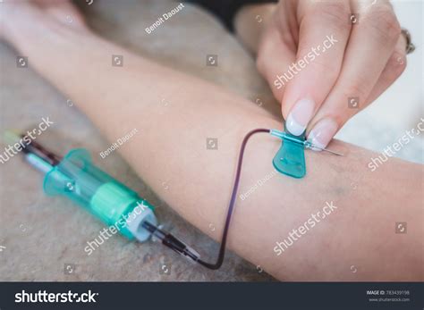 How To Draw Blood With A Butterfly Needle And Syringe