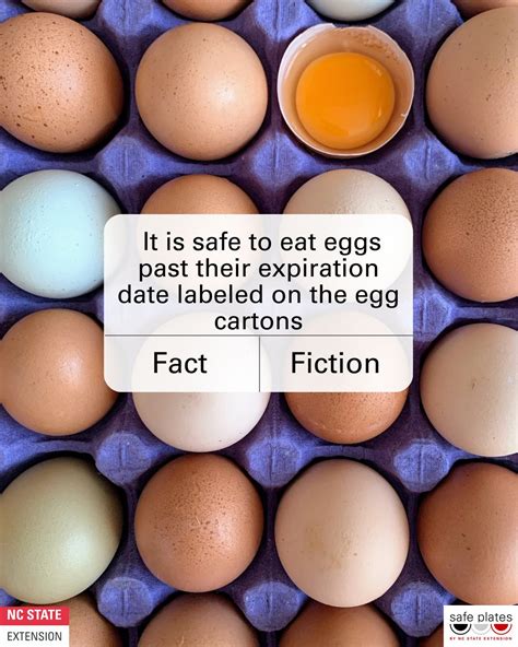 Everything You Need to Know About Eggs Passed Expiration Date...