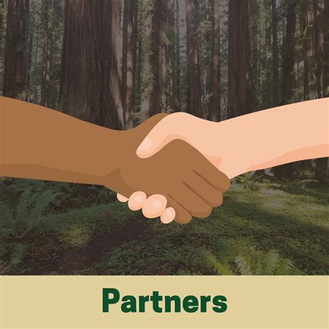 Richardson Grove State Park