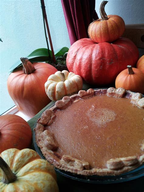 Pumpkin pie not from a can. Doesn’t taste that much better, am I doing ...